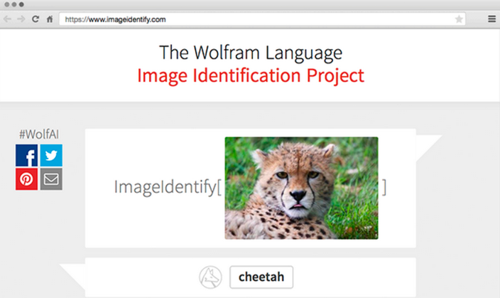 Wolfram-Image-identification