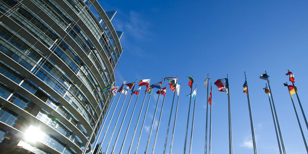 Flags wave in front of the European Parliament in Strasbourg