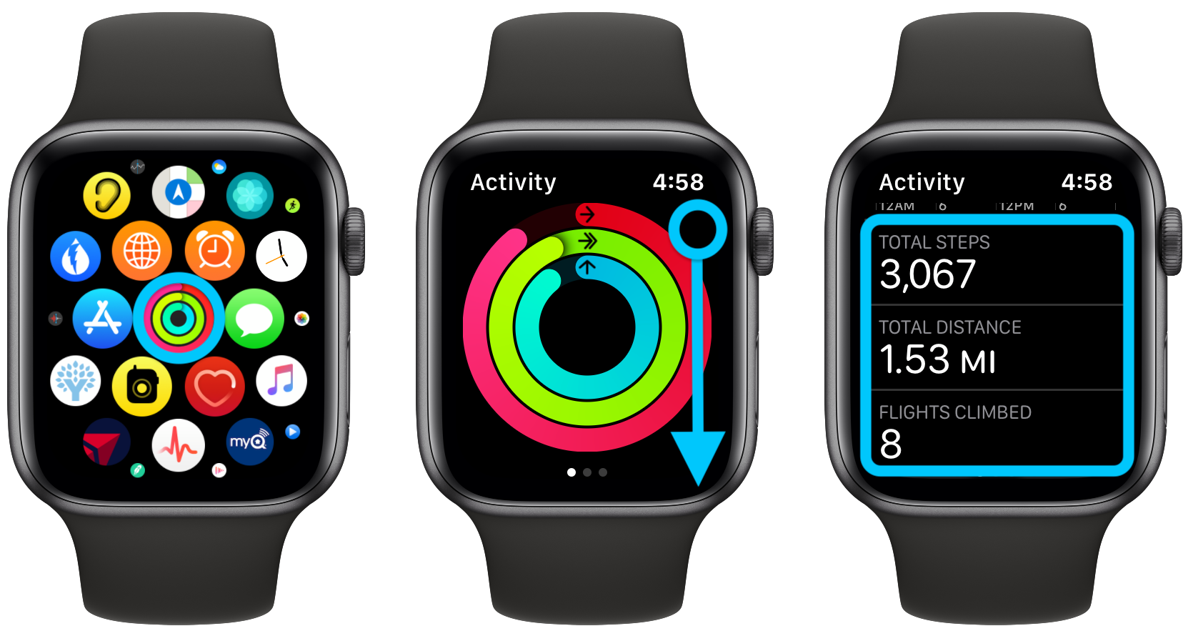 How to see steps Apple Watch, distance, flights, more