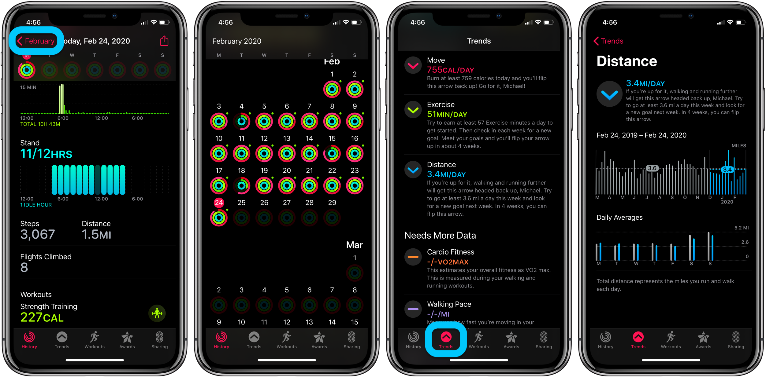 How to see steps Apple Watch, distance, flights, walkthrough
