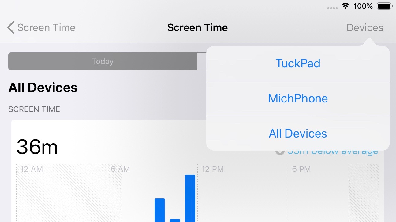 Screen Time dashboard iPad iOS