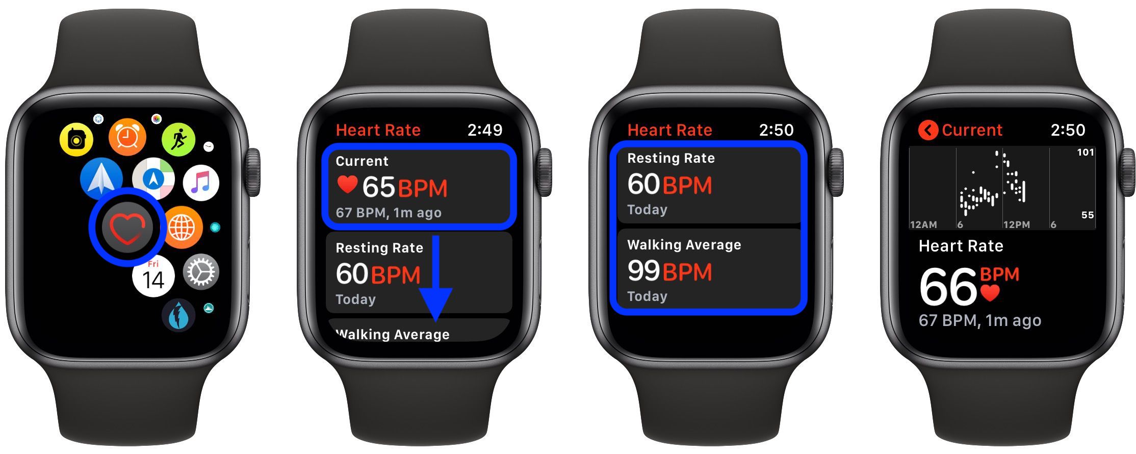 check heart rate Apple Watch
