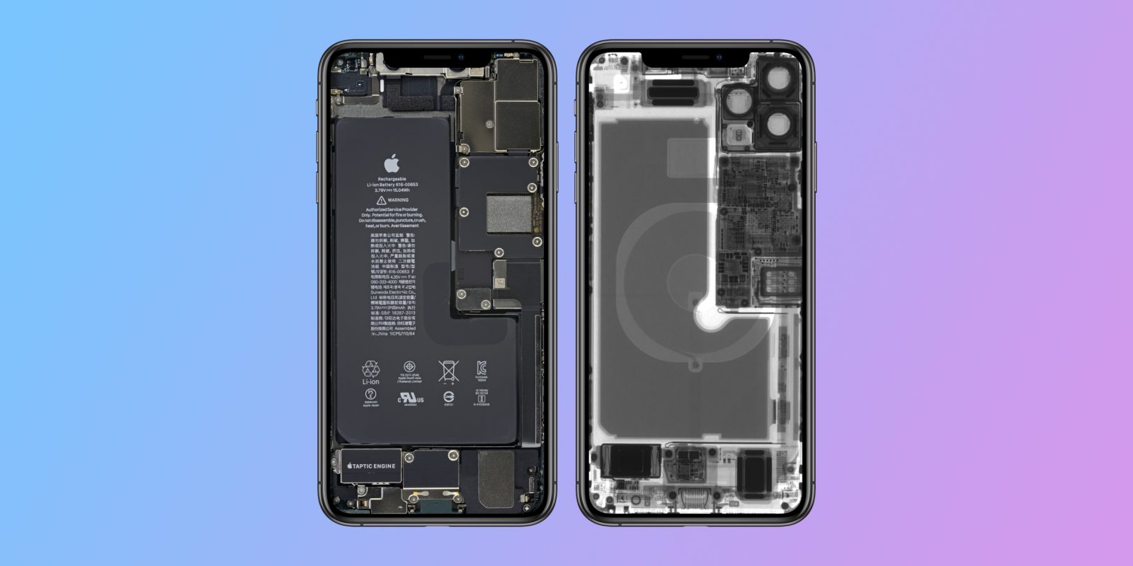 iPhone 11 internal x-ray wallpapers