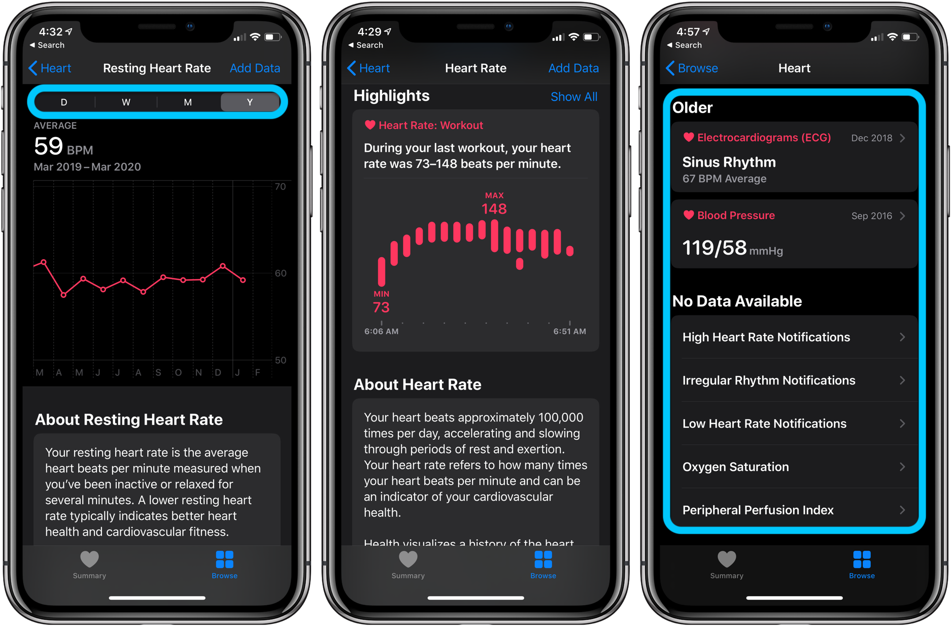 How to see Apple Watch heart rate history - iPhone