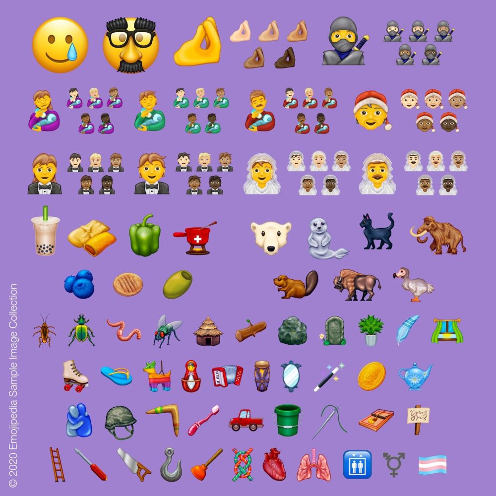 How to get new iPhone emoji with iOS 14.2 walkthrough 1