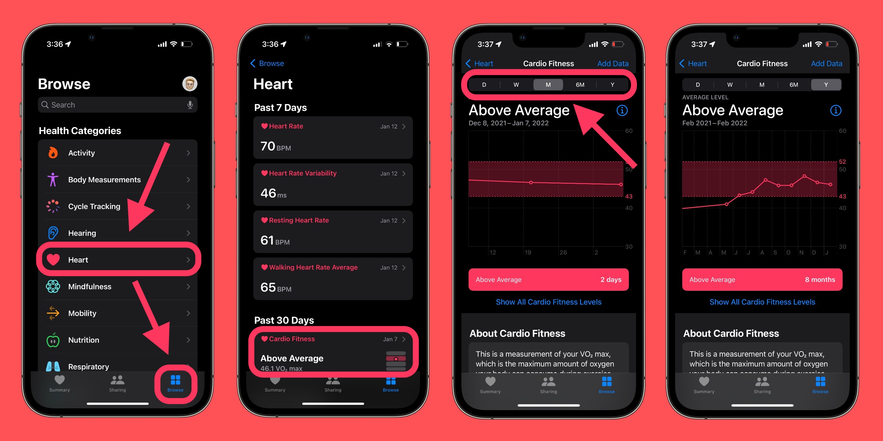 Check cardio fitness on Apple Watch and iPhone 2