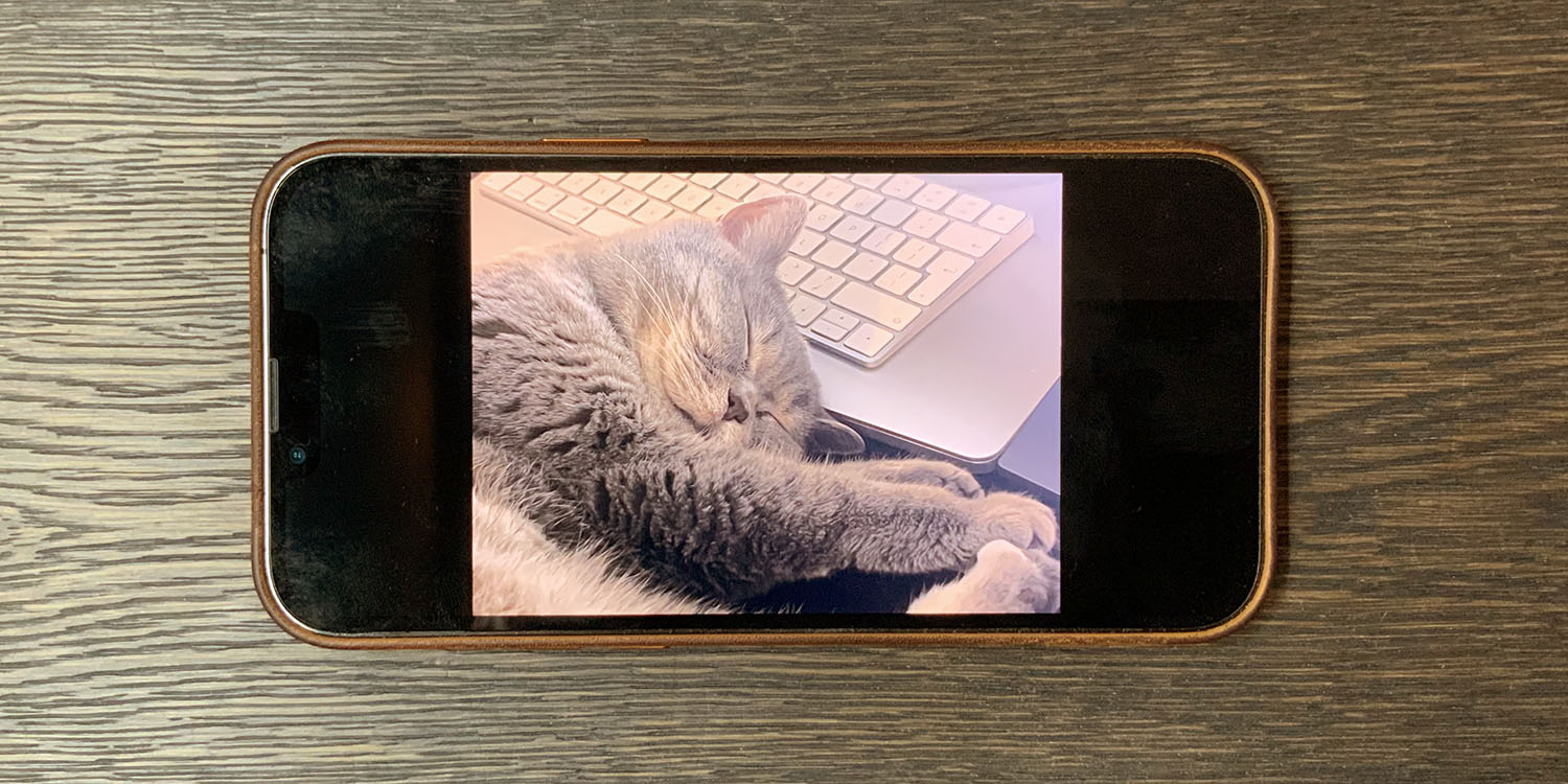 Recent and favorite photos | Cute cat photo on iPhone