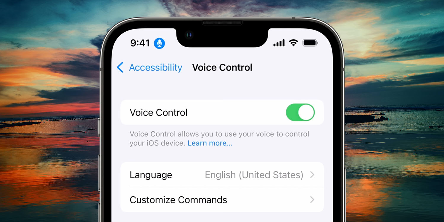 Voice Control problems | Settings screen shown