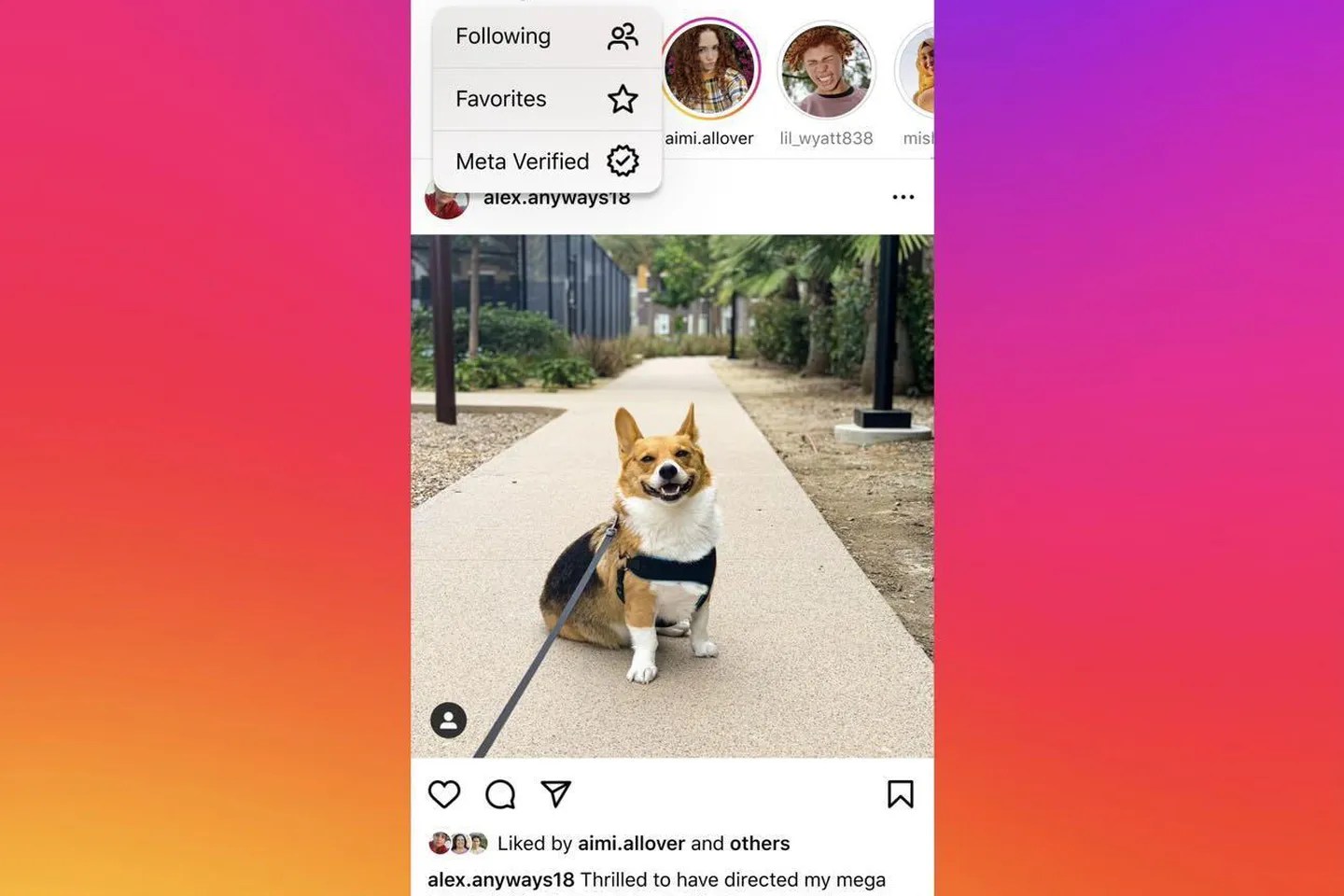 Instagram may soon let you choose to see content only from verified accounts